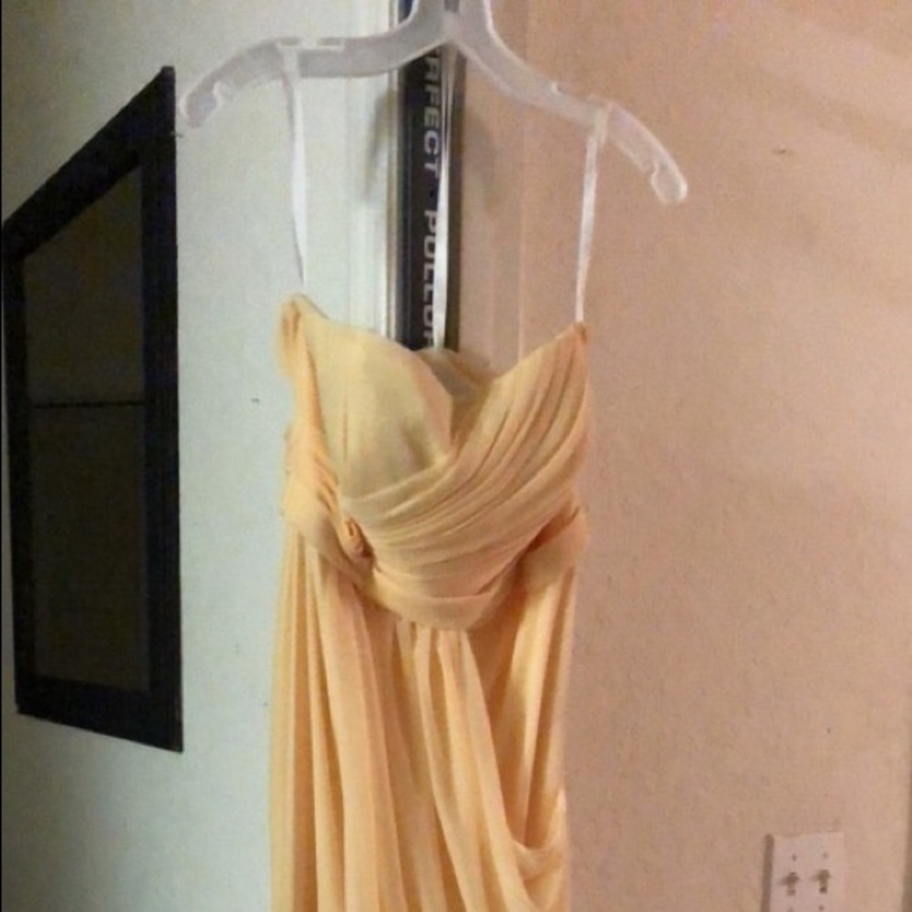 David’s Bridal Bridesmaids dress